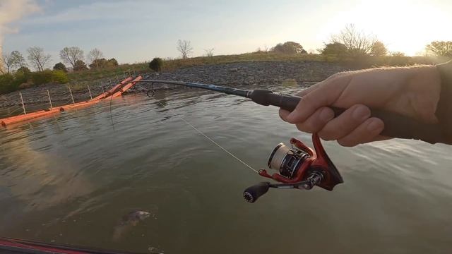 I DID NOT Want to Catch this MASSIVE PB Fish!! (Illegal??) смотреть онлайн