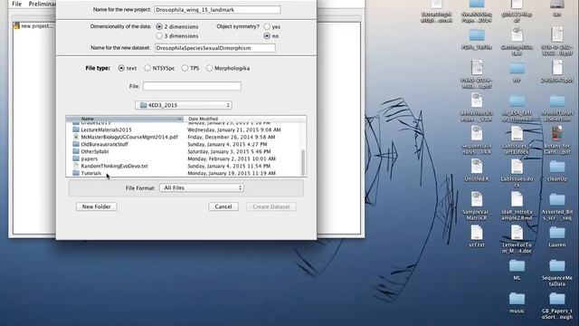 MorphoJ Tutorial 1- 4ED3 (Evolutionary Developmental Biology) смотреть онлайн