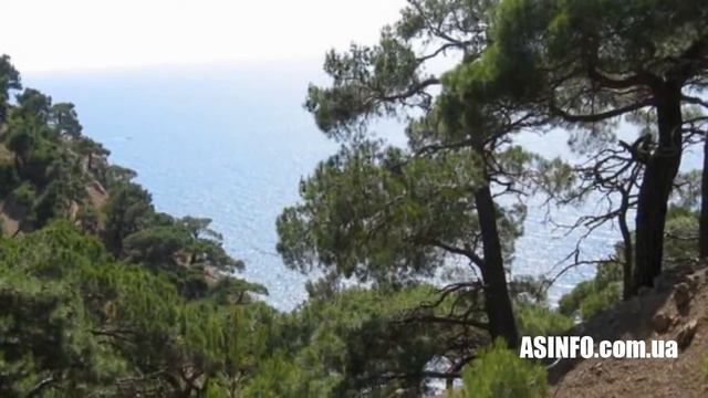 Палаточный лагерь Спелеолог в Крыму. Отдых в палаточных городках смотреть онлайн