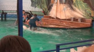 Дельфинарий ВДНХ в Москве Dolphinarium in Moscow