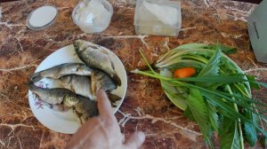 Караси на корм рыбе. Выращивание форели и осетров на натуральном и живом корме в домашних условиях.