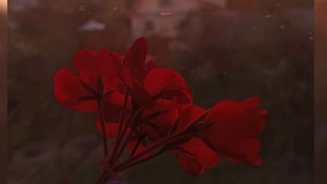Виктория Тульская"Прелюдия"(И.Северянин), исполняет автор смотреть онлайн