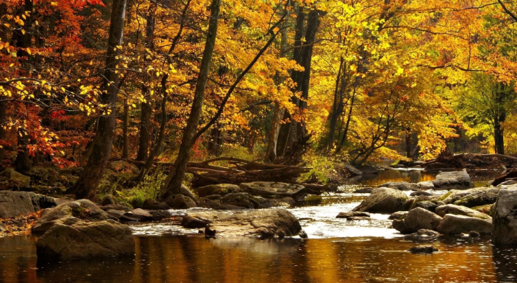 Осенняя река. Расслабляющие волшебные звуки ✦ Успокаивающие Звуки ✦ Relax Sleep смотреть онлайн