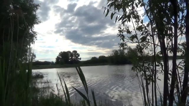 Ловля карася на донку с кормушкой. Конец июня. смотреть онлайн