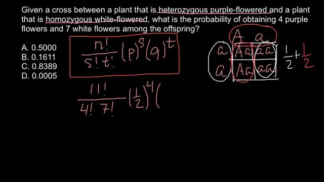 How to solve genetics problems using factorial method смотреть онлайн
