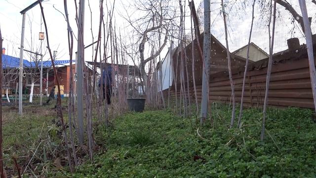 КОЛЯДУЮ КОЛЯДУЮ? ...ЗА ЧТО НАС ТАК? ...ДЕРЖИТЕСЬ ДРУЗЬЯ ТАМ? смотреть онлайн