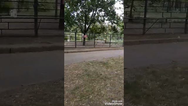 Поход в зоопарк 25.05.2020 смотреть онлайн