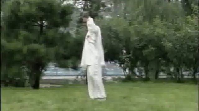 冯志强 Feng Zhiqiang Chen Style Hunyuan Tai Chi Erlu