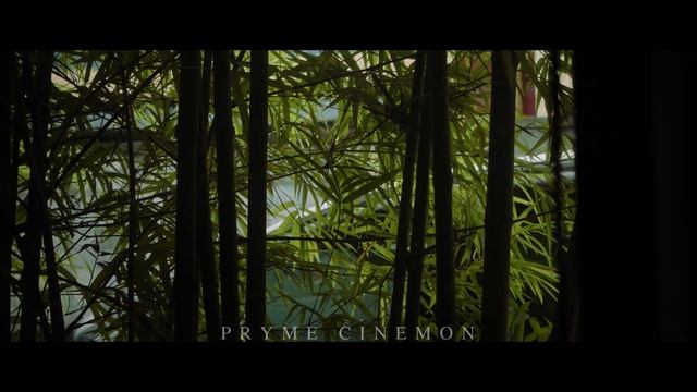 Blackmagic Pocket Cinema Camera 4K - BMPCC4K Test - 4K