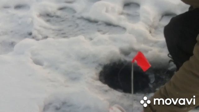 Зимняя рыбалка на жерлицы, щуки грызут поводки смотреть онлайн