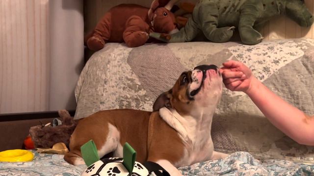 Игра перед сном смотреть онлайн