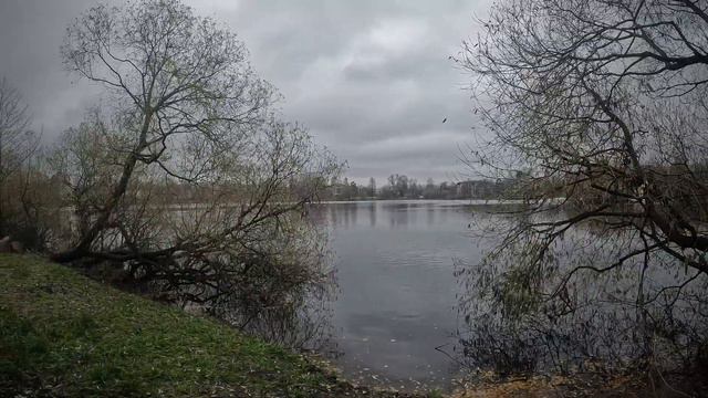 Среднее Суздальское озеро СПб смотреть онлайн