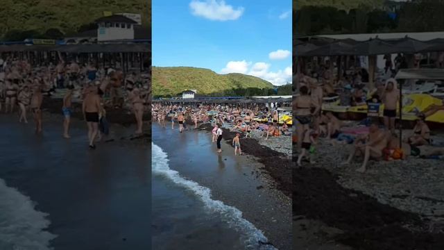 Архипо-Осиповка 05.09.2023 года ?️ 09:30. Санаторский и Центральный пляжи ?️ Видео: Александр смотреть онлайн