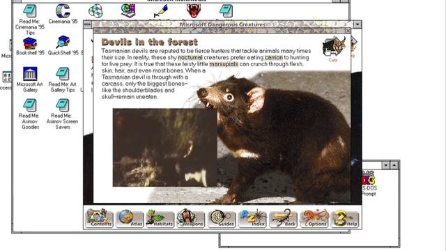 Microsoft Dangerous Creatures || Windows Version 3 Ultimate Collection смотреть онлайн