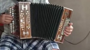 Сильная гармонь🔥 Бр.Потехины/Нижегородская гармонь/Играй гармонь любимая!