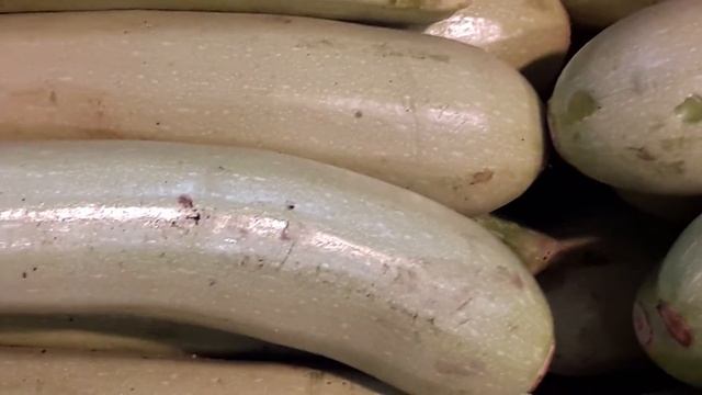 Кабачки зеленые смотреть онлайн
