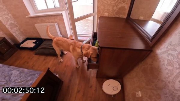 Дени и Мэни играют в прятки 🙈