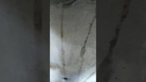 Сделать подрозетники в бетоне. Панельный дом.