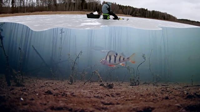 РЫБАЛКА ЗИМОЙ и МОЩНЫЕ АТАКИ ЩУКИ НА ЖЕРЛИЦЫ 2020!!! смотреть онлайн