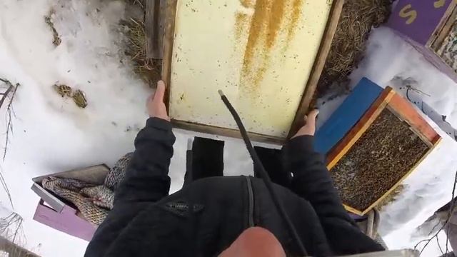 сокращение пчёл весной смотреть онлайн