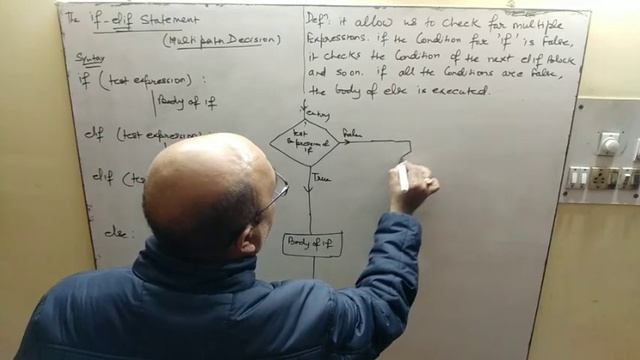 Python | if elif statement ( multi path decision) | class 11 IP смотреть онлайн