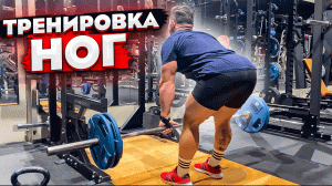 Тренировка ног