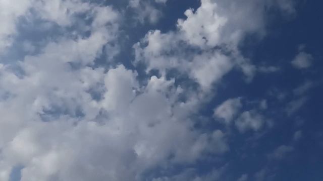 Лунный календарь стрижки волос на сентябрь 2022. Самые благоприятные дни для стрижки... смотреть онлайн