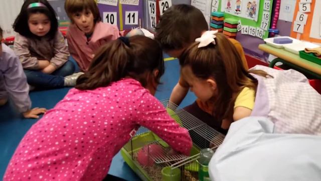 GUILLERMO NOS PRESENTA A NIKITA смотреть онлайн