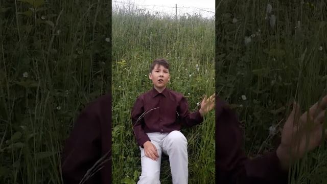 красный конь.(текст Михаил Пляцковский) смотреть онлайн