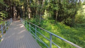 Жуткий Заречный Парк: Посмотри, прежде чем покупать квартиру от ПИК / ЖК Заречный Парк от ПИК СПб