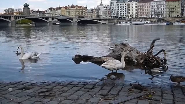 Panasonic Lumix DMC-FT20 ukázkové video смотреть онлайн