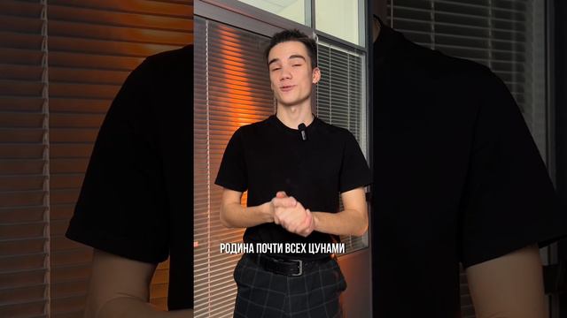 Что следует знать про цунами? #география #огэ #репетитор #подготовка #полезно смотреть онлайн