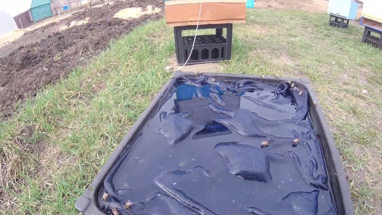 Запах пыльцы как наркотик для пчеловода. смотреть онлайн