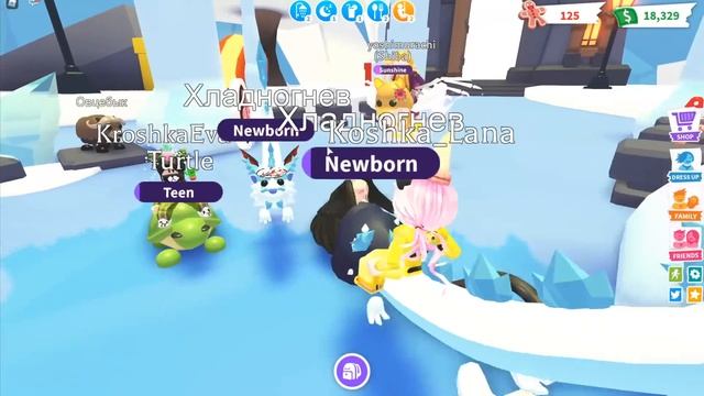 НОВОГОДНЕЕ ОБНОВЛЕНИЕ В АДОПТ! КУПИЛИ ФУРИЮ! Roblox Adopt Me смотреть онлайн