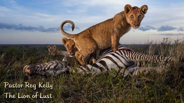 Reg Kelly - The Lion of Lust смотреть онлайн