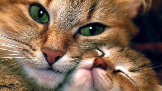 кто- то другой смотреть онлайн