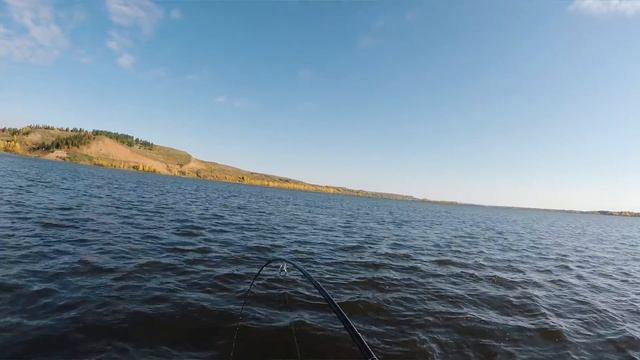 Рыба на Воле