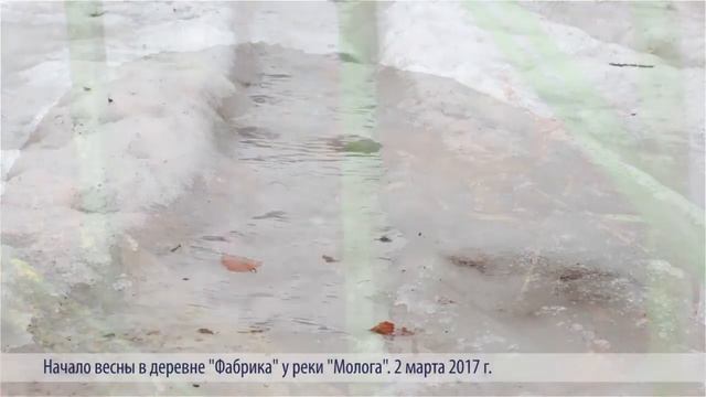 Начало весны в д. Фабрика у реки Молога. смотреть онлайн