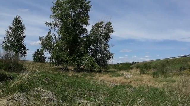 Останиной Татьяне Васильевне смотреть онлайн