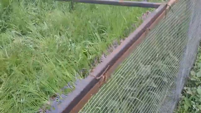 Каркас для летнего птичника.