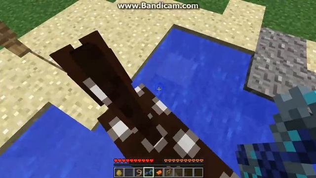 как приручить и оседлать лошадь