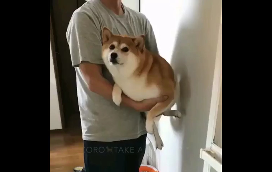 Мыльные процедуры смотреть онлайн