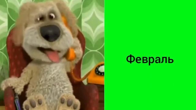 Бен оценивает месяцев это: смотреть онлайн