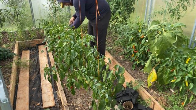 Строительные Повестки