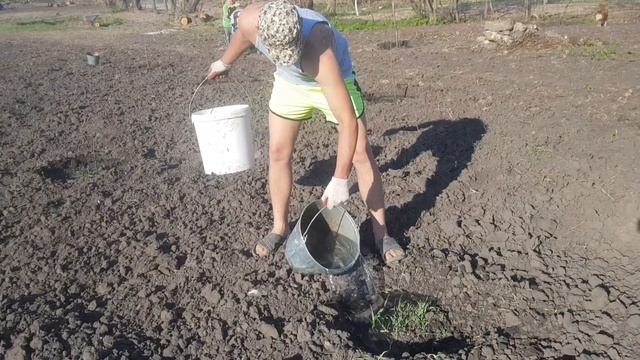 Жизнь в селе! Поливаем сад, огород смотреть онлайн