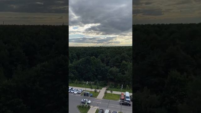 Квартира ЖК Оранж Парк - 1 смотреть онлайн