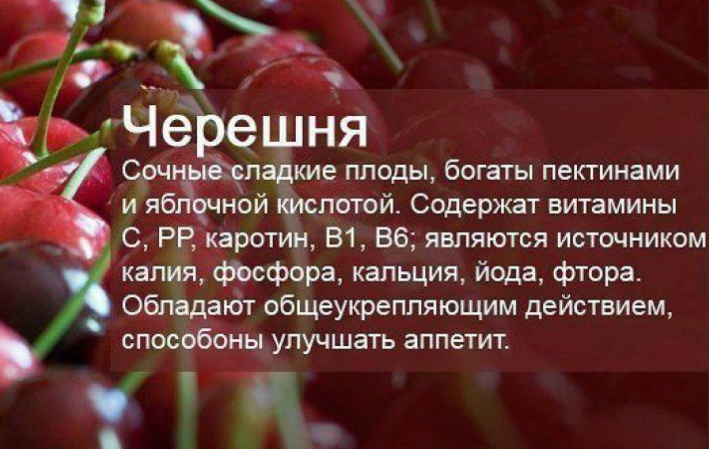 О черешне - полезные свойства смотреть онлайн