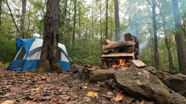 Расслабляющие звуки костра, треск дров, пение птиц. Звуки огня и леса для сна, отдыха, медитации. смотреть онлайн