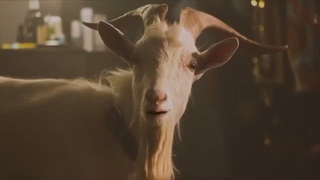 Я не касался писи козла 10 часов смотреть онлайн