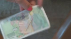 Валюта Болгарии. Курс доллара. Курс лева. История болгарского лева. Советы туристам в Болгарии